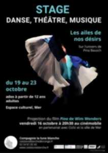 Stage danse, théâtre, musique