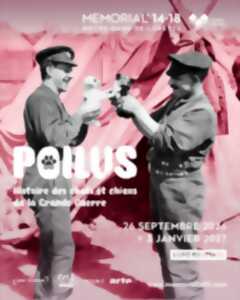 Visite guidée de l'exposition Poilus : Histoire des chats et chiens de la Grande Guerre