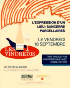 Vindredis - Sancerre pacellaires