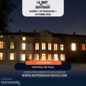 photo La Nuit des Châteaux au château de Fals