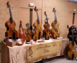 Exposition de lutherie - Instruments anciens