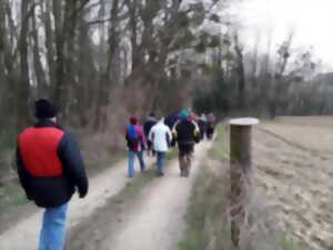 photo Marche populaire internationale d'hiver