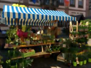 photo Marché de printemps paysan