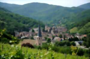 photo Balade ludique à Andlau