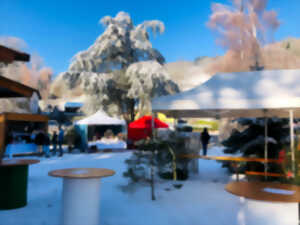 photo Marché de Noël des Orbelais