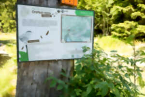 photo Jeu de piste - Sur les traces de Croque-Noix