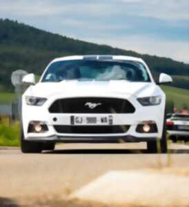 Journée auto-passion : Balades en voiture d'exception