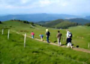 photo Marche populaire internationale de montagne du Petit Ballon