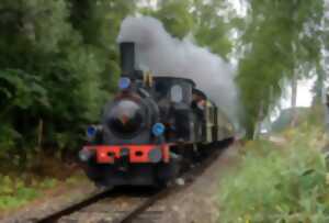 photo Circuit : train à vapeur et bateau sur le Rhin