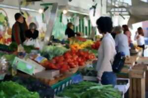 photo Marché Alimentaire de Masevaux-Niederbruck du samedi matin