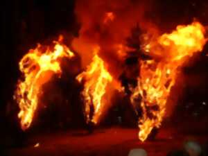 photo Crémation des trois sapins