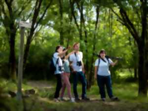 photo Initiation à l'ornithologie à Terres d'Oiseaux