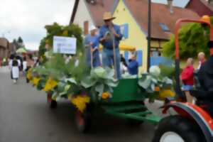 photo Fête de la choucroute et du folklore