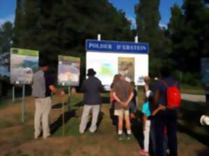 Visite guidée de la Réserve naturelle nationale 