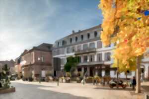 photo Visite guidée : Sélestat et les Rois de France