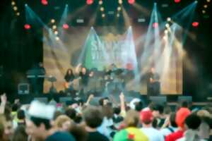 photo Festival : Summer Vibration