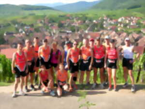 photo Courses pédestres Les perles du Vignoble et La ronde du Sonnenglanz