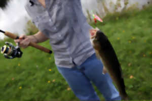 peche truite bas rhin