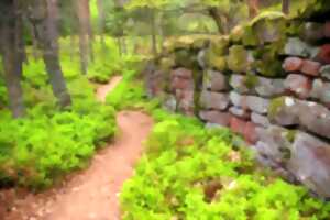 Balade nature - Les mystères du mur païen