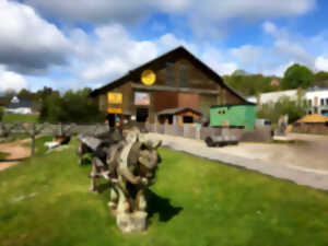 photo Visite en famille du musée du bois