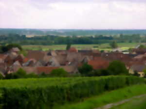 photo Visite commentée du Sentier viticole de Bergheim