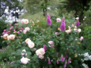 photo Programmation 2026 au Jardin des Lianes