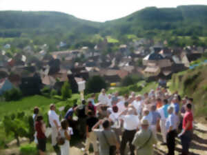 photo Visite guidée du sentier viticole de Soultzmatt avec dégustation chez le vigneron