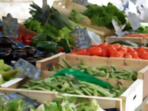 photo Marché de Casseneuil