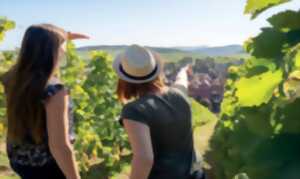photo Rencontre avec le vigneron sur les sentiers Géovino