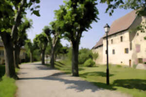 photo Visite guidée de la ville de Rouffach