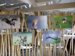 Exposition : 