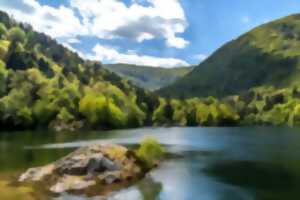 Club Vosgien : Les quatre lacs de la Vallée de la Doller