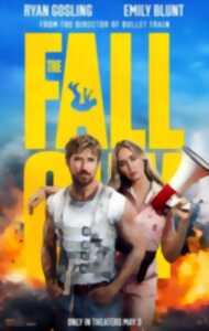 Séance de cinéma : The fall guy
