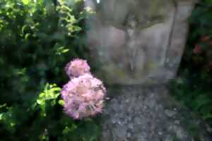 photo Les mardis du Wihr