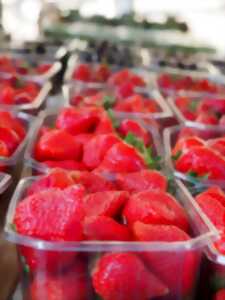 photo Marché traditionnel