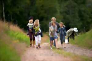 photo 20eme Marche populaire internationale