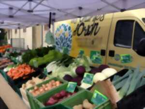 Marché du terroir