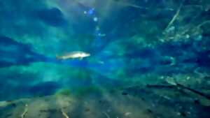 photo Documentaire : Le fleuve invisible, sous la plaine du Rhin