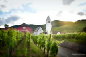 photo Pique-nique chez le vigneron indépendant- Domaine Spannagel Paul