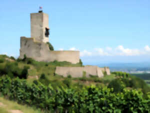 photo Tous aux châteaux - Journée au Wineck