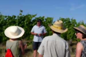 photo Les 7 Péchés Capiteux des vignerons de Bernardswiller