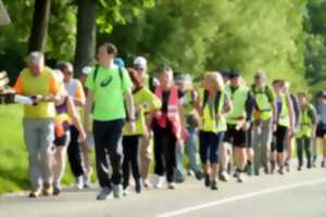 photo Marche Audax - Les 20 heures d'Obernai