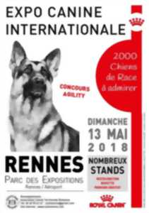Ille Et Vilaine Exposition Exposition Canine