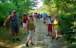 photo Randonnée pédestre et feu de la St Jean