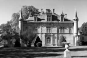 photo JEP : Château de Fondat