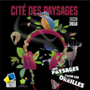 photo Marche semi-nocturne