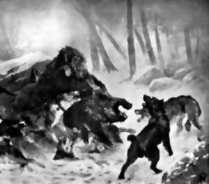 Nuit des Forêts - Balade zinzin sur les sons de la nature