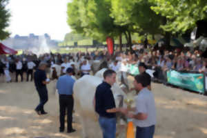 photo Fête de l'élevage