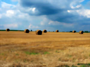 Fête champêtre
