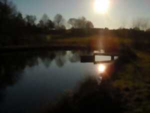 photo Sortie nature : les mysteres de la nuit